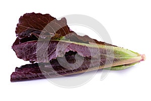 Red Leaf Lettuce isolated on a transparent background