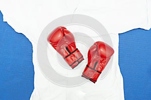 Red leather Boxing gloves on white kimono