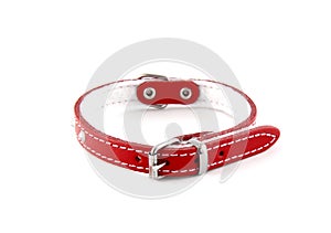 Red leather collar isolated over white background. It is a stylish collar for small dogs