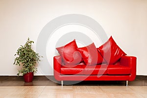 Red leather sofa with pillow with plant near