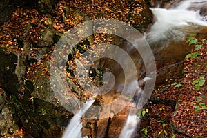 Red leaves of Guangwu Mountain in Nanjiang County, Bazhong City, Sichuan Province, China photo