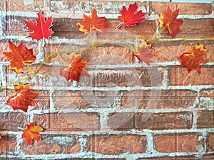 Red leaves of maple plant on bricks wall background