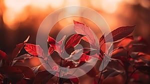 Red Leaves At Sunset With Defocused Lights - Abstract Autumn Background, generative ai