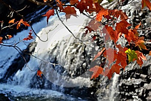 Red leaves with water falls and rapids in background, Kabir Kouba water falls - Wendake - Quebec - Canada