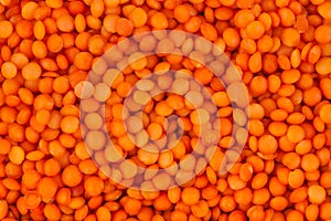 Red lentil