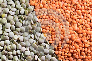 Red lentil and green lentil grains