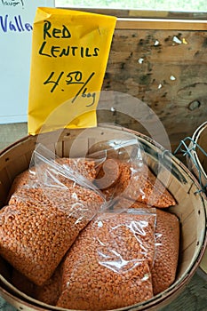 Red Lentils