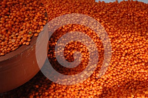 Red Lentils