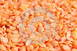 Red lentils detail