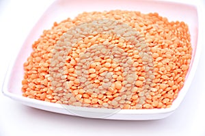 The red lentils pulse in the white plate isolated in white background