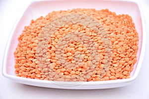 The red lentils  pulse in the white plate isolated in white background