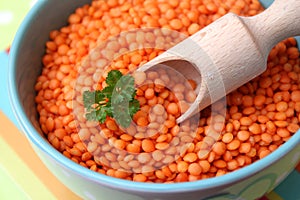 Red lentils photo