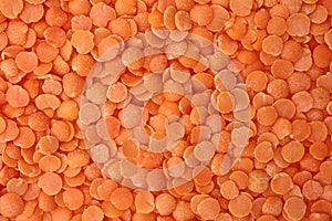 Red lentils on a white background-masoor dal