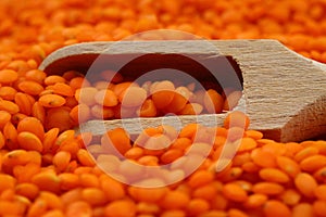 Red lentils in wooden scoop, isolated on wooden background