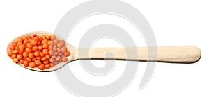 red lentils in wooden spoon isolated on white background. Top view