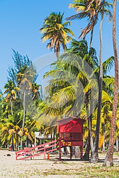 Red Life guard hut and palm trees on tropical beach. Luquillo Beach, Puerto Rico photo