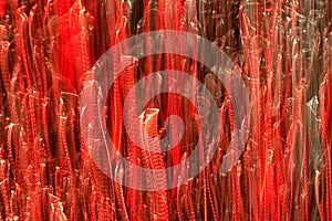 Red tubular shapes, rising up. Abstract background. photo