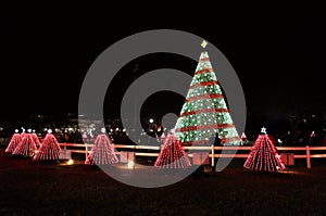 Red Light Decorations at the Ellipse