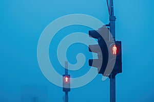 Red light on pedestrian traffic light signalization in foggy winter morning photo