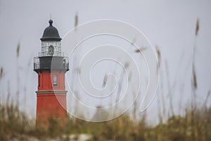 Lighthouse behind Sea Oats in Florida