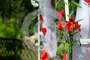 Red lily on a background of a wedding arch