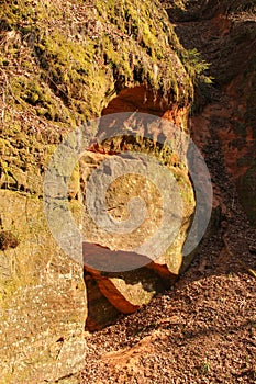 Red limestone rock with a steep edge. Natural ecosystem in national park of Gauja, Latvia