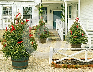 Red Lion Inn rear entrance with three Christmas trees