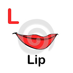 Red lips isolated on white background