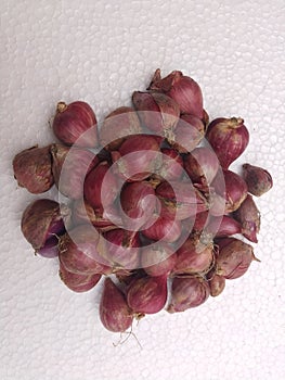 red litle onion from tropical country