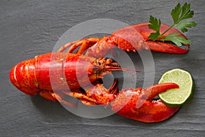 Red lobster with parsley and lime in claws on black stone fun seafood concept