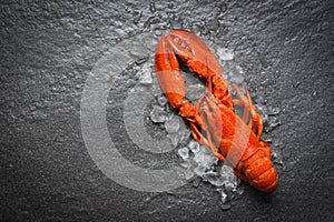 Red lobster seafood with ice on dark backgroud top view