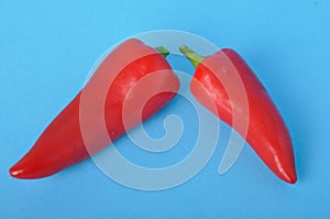 red long pepper on blue bacground