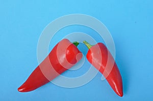 red long pepper on blue bacground
