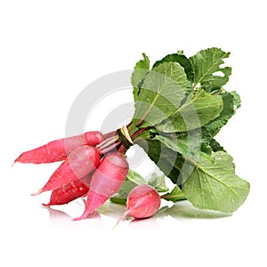 Red long Radish