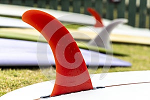 Red Longboard Fin