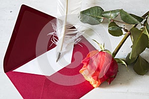 Red love letter with goose feather and rose