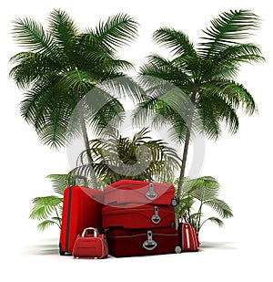 Red luggage in the tropics
