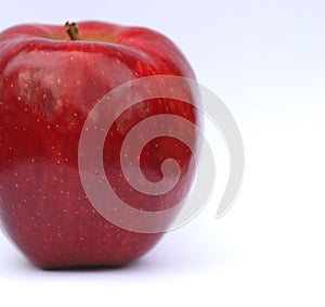 Red macintosh apple photo