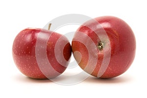 Red macintosh apple