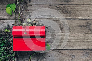 Red mail box on wooden wall background with small ivy plant