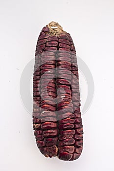Red maize photo