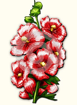 Red mallow on white
