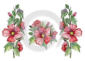 Red malva flowers on a stem with green leaves and buds. Set of illustrations. Fresh mallows isolated on white background.