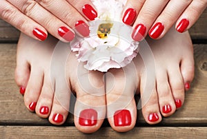 Red manicure and pedicure with flower close-up, on a wooden background, top view