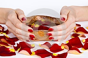 Red manicure and rose petals