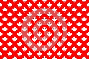 Red maple canada seamless pattern.
