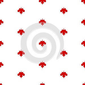 Red maple canada seamless pattern. Vector Illustration