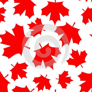 Red maple canada seamless pattern. Vector Illustration