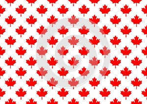 Red maple canada seamless pattern.