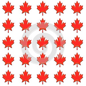 Red Maple Leaf background